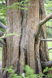 《大侠立志传》11月16日将迎来正式版发售